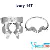 Ivory Clamp (Kulzer) - 14t-molar-serrated-tiger