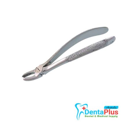 Upper Molar Left - Each