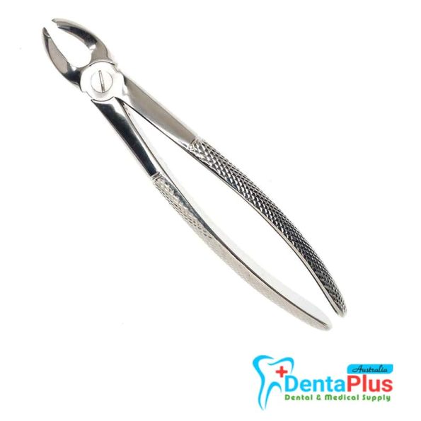 UPPER MOLER RIGHT CM2 MAIN ORG N-124