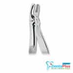 UPPER PRE MOLAR CM N-123